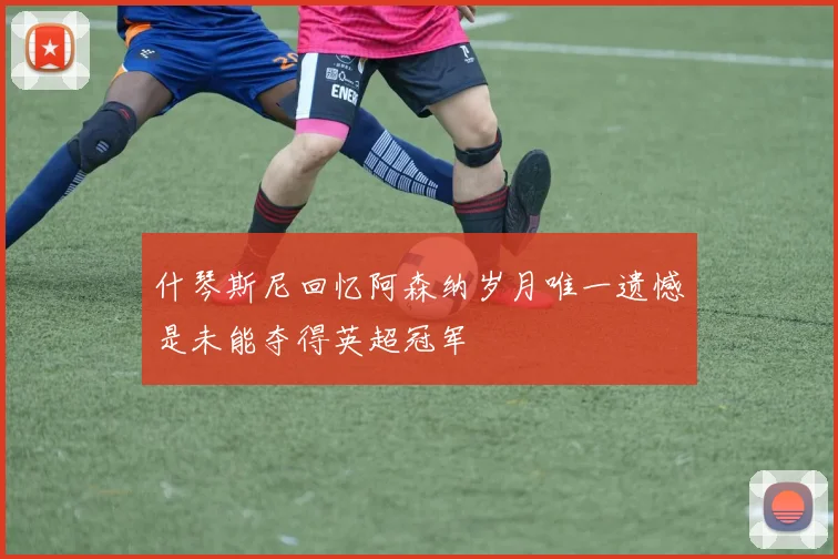 什琴斯尼回忆阿森纳岁月唯一遗憾是未能夺得英超冠军